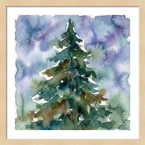 Spruce Tree Serenity