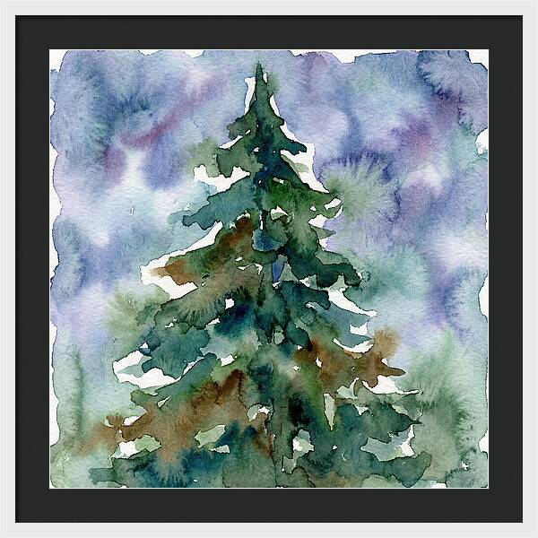 Spruce Tree Serenity