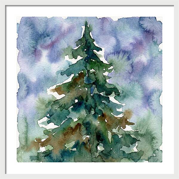 Spruce Tree Serenity