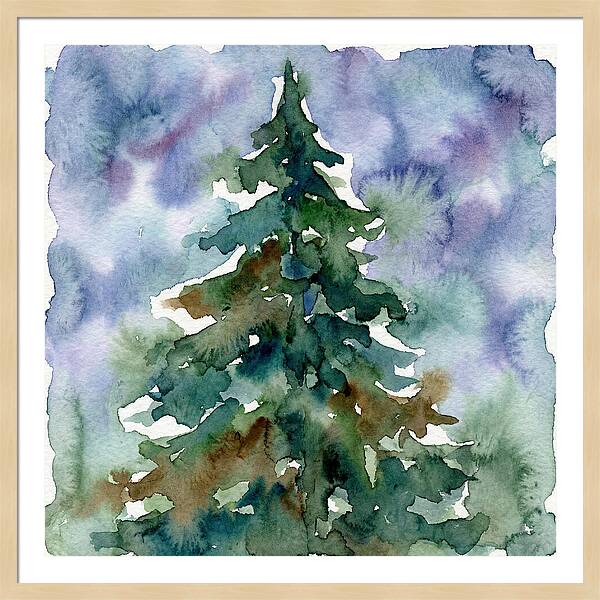 Spruce Tree Serenity