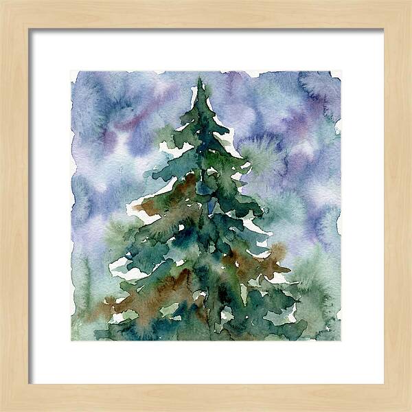 Spruce Tree Serenity