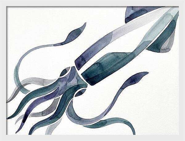 Squid In Fluid Motion