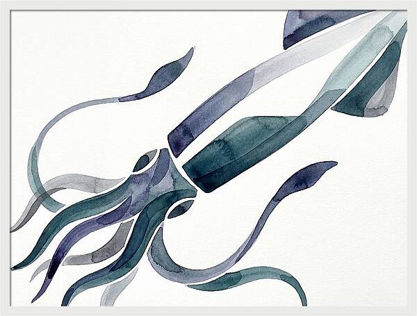 Squid In Fluid Motion