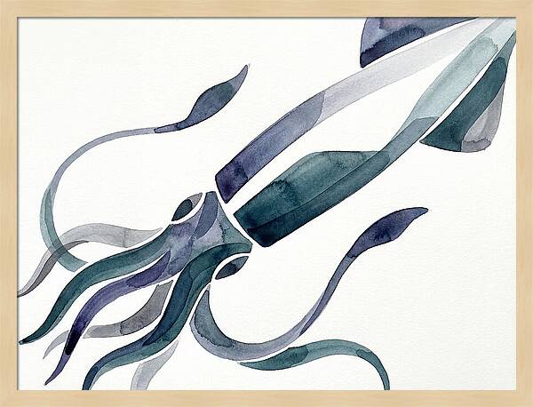 Squid In Fluid Motion
