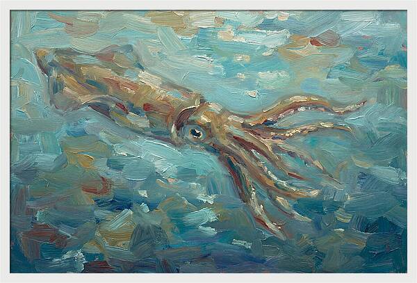 Squid Swimming In Ocean Depths