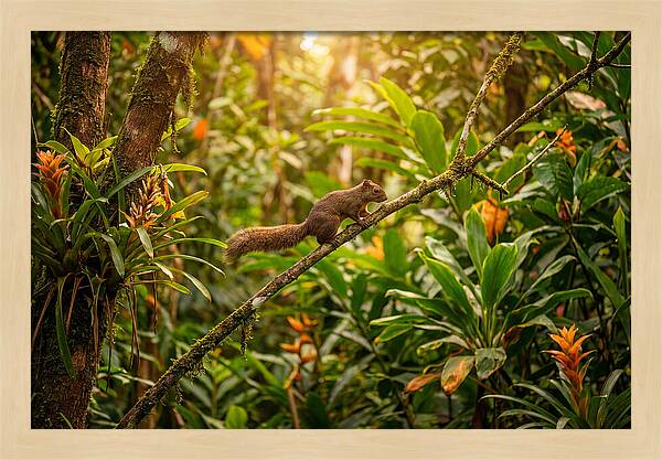 Squirrel Balancing On A Branch