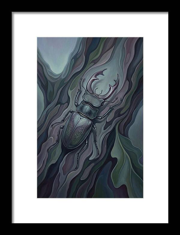 Stag Beetle On Oak Bark