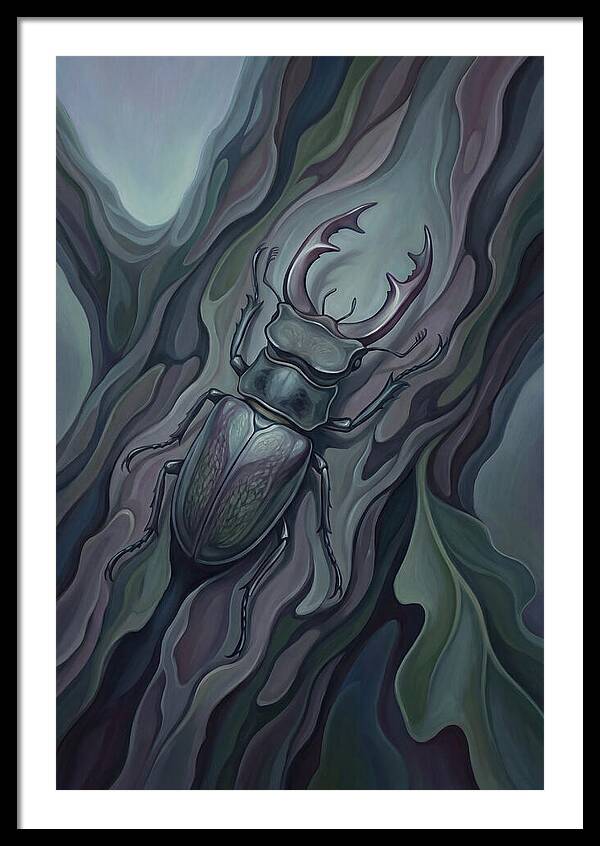 Stag Beetle On Oak Bark