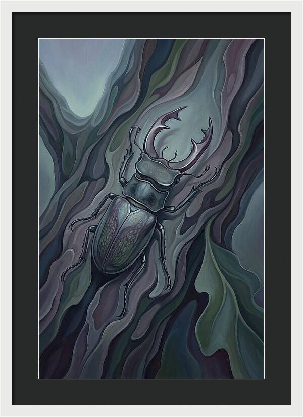 Stag Beetle On Oak Bark