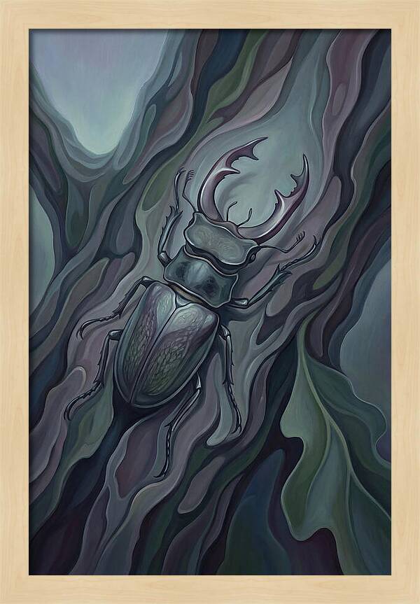 Stag Beetle On Oak Bark