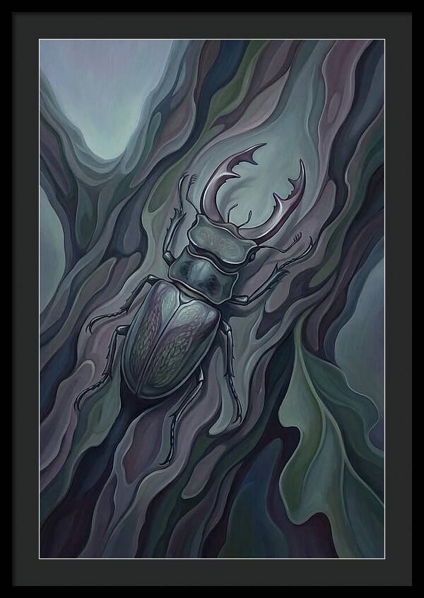 Stag Beetle On Oak Bark