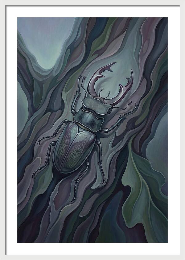 Stag Beetle On Oak Bark