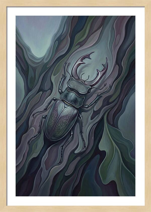 Stag Beetle On Oak Bark