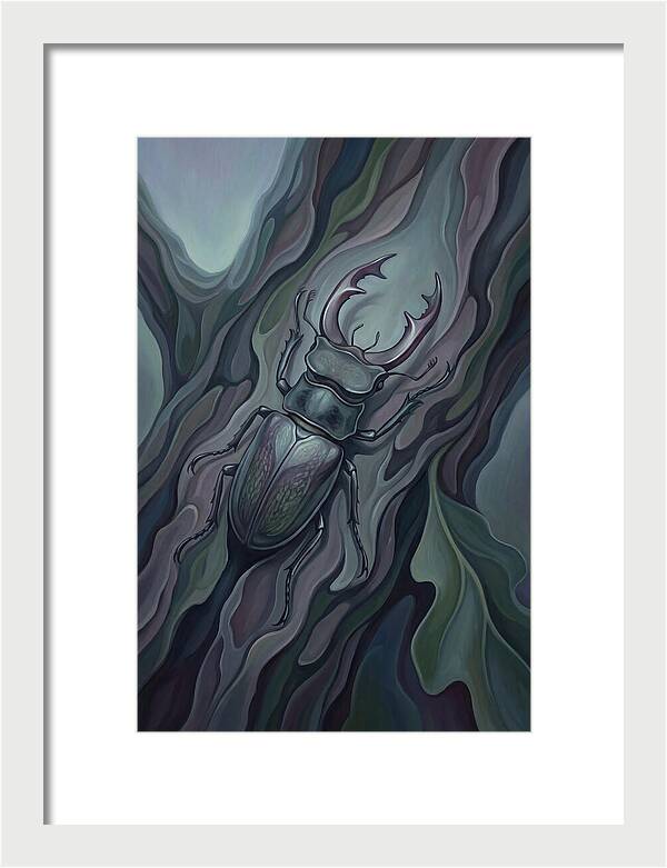 Stag Beetle On Oak Bark