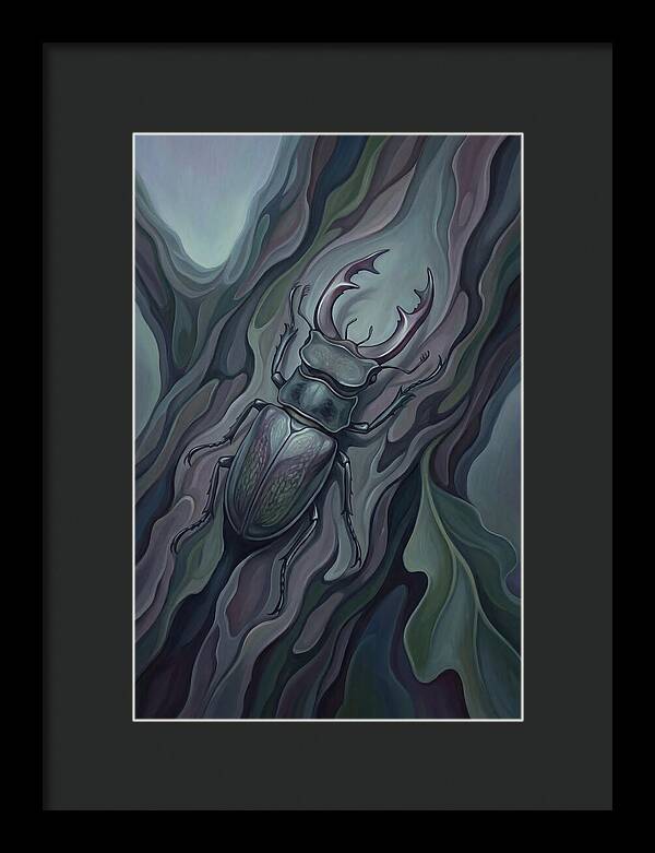 Stag Beetle On Oak Bark