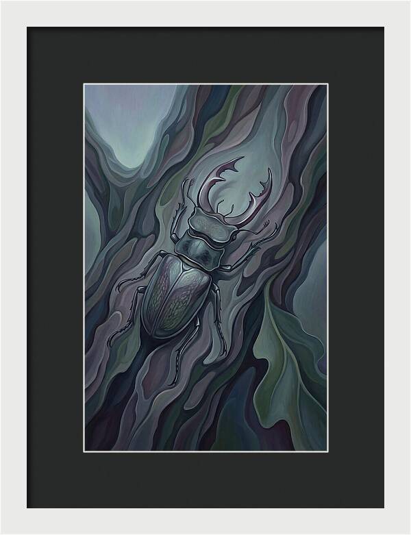 Stag Beetle On Oak Bark