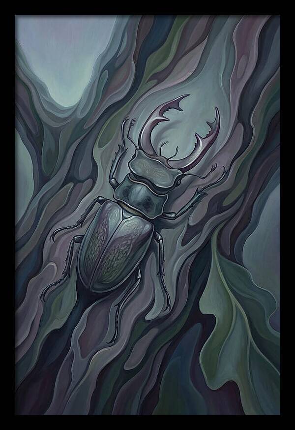 Stag Beetle On Oak Bark