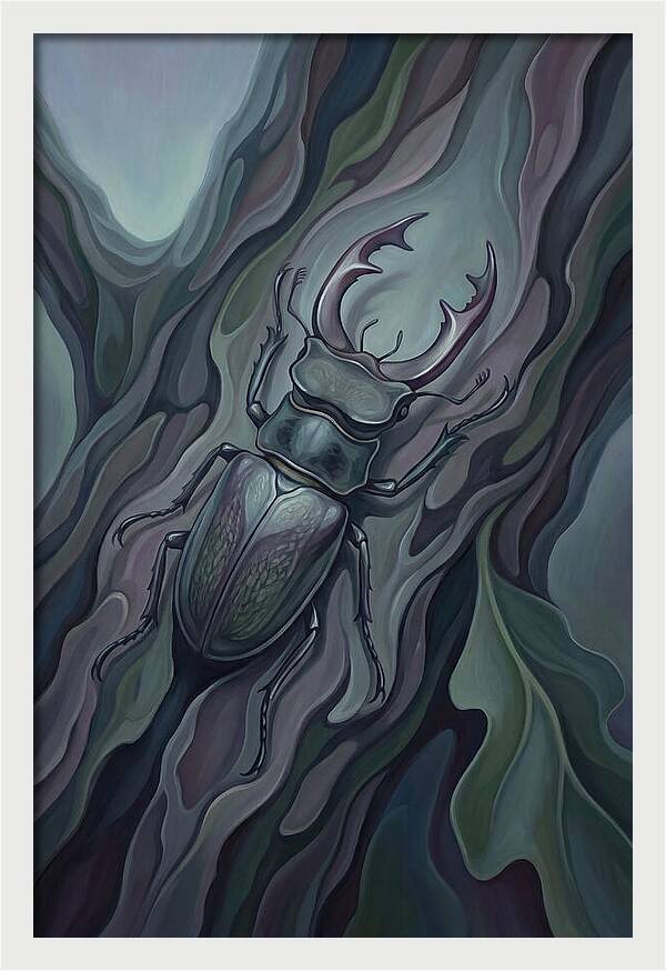 Stag Beetle On Oak Bark