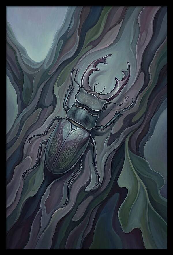 Stag Beetle On Oak Bark