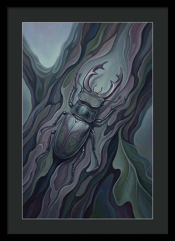 Stag Beetle On Oak Bark