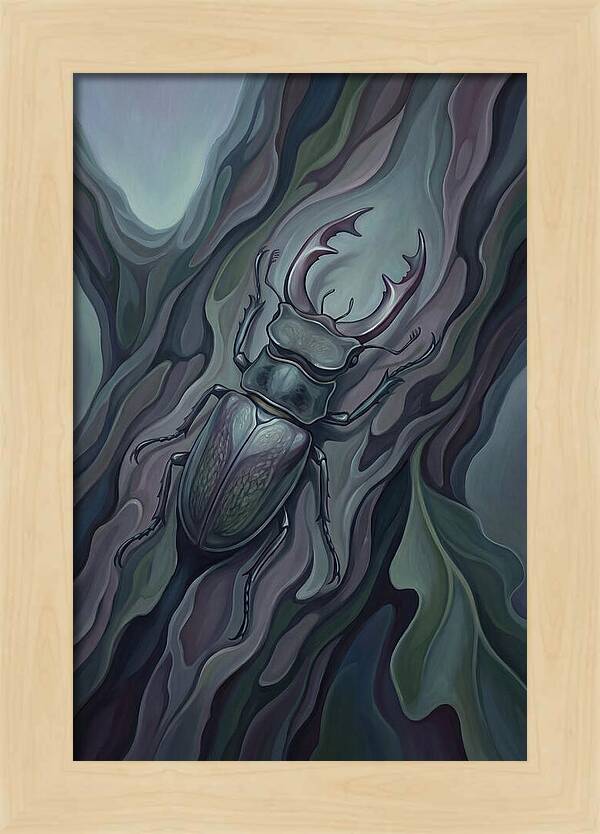 Stag Beetle On Oak Bark