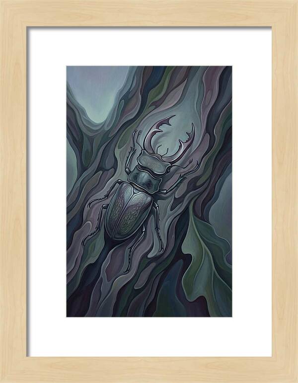 Stag Beetle On Oak Bark