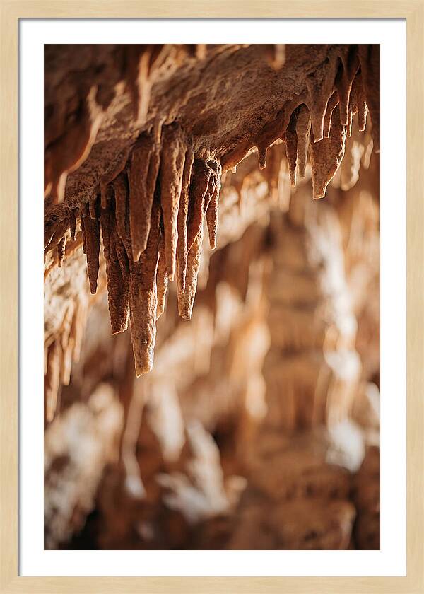 Stalactite Formations Hanging