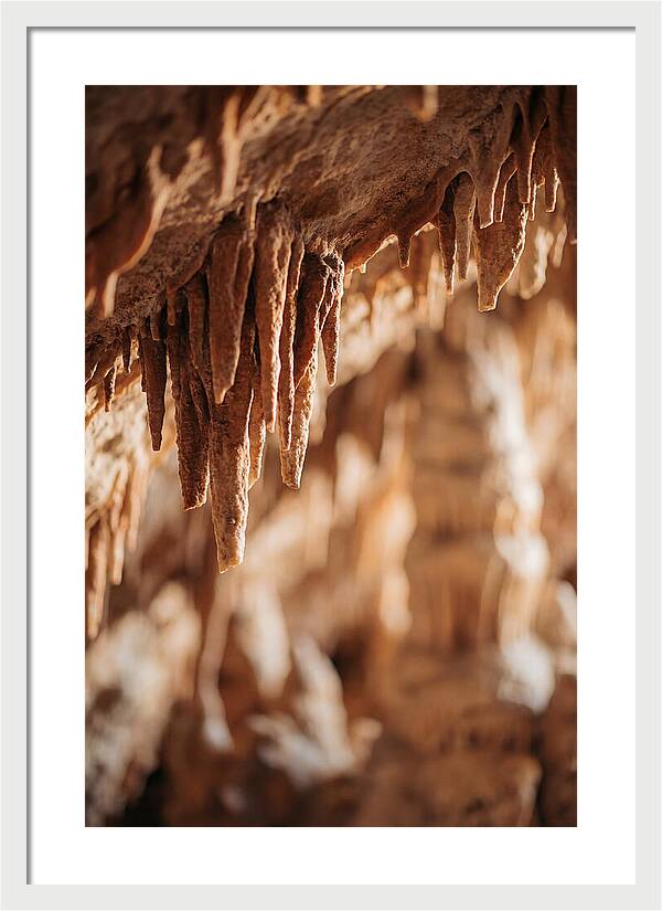 Stalactite Formations Hanging
