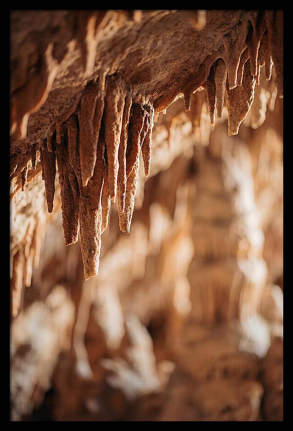 Stalactite Formations Hanging