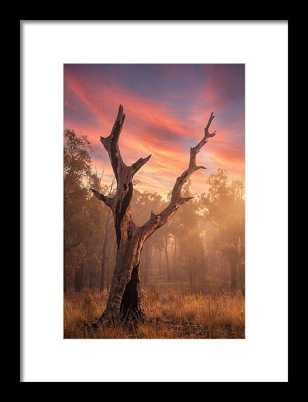 Standing Tall In Twilight