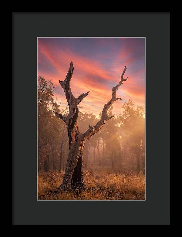 Standing Tall In Twilight