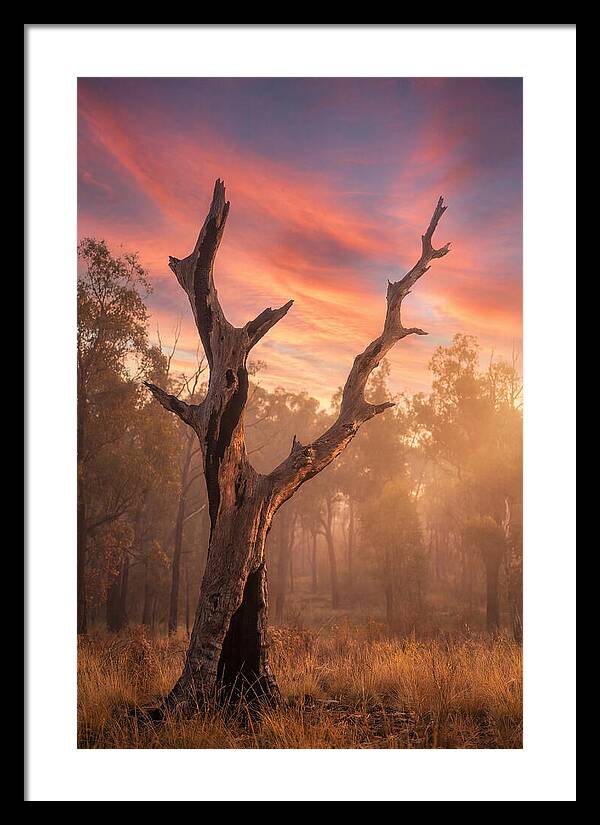 Standing Tall In Twilight