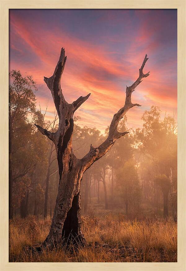 Standing Tall In Twilight
