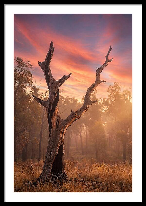 Standing Tall In Twilight