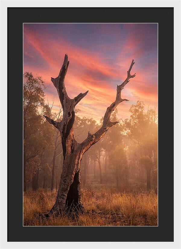 Standing Tall In Twilight