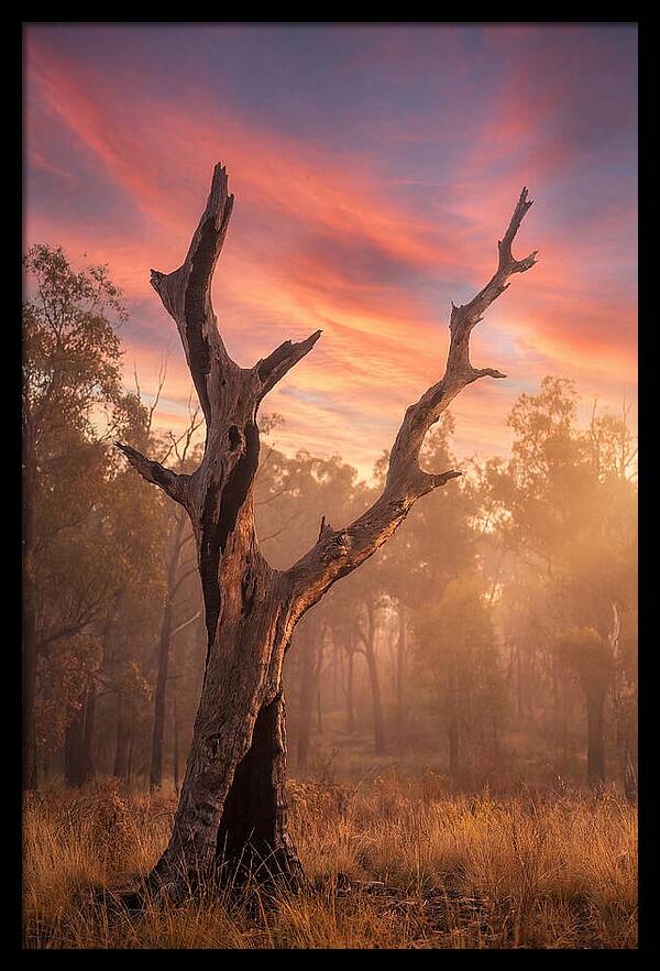 Standing Tall In Twilight