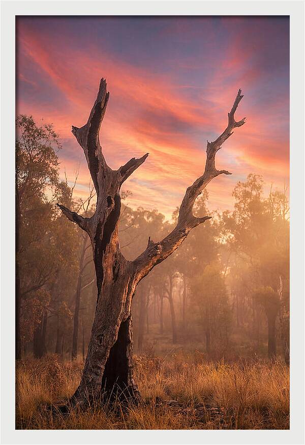 Standing Tall In Twilight