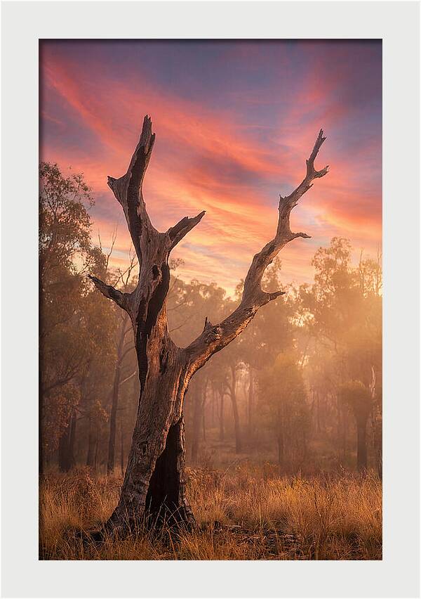 Standing Tall In Twilight