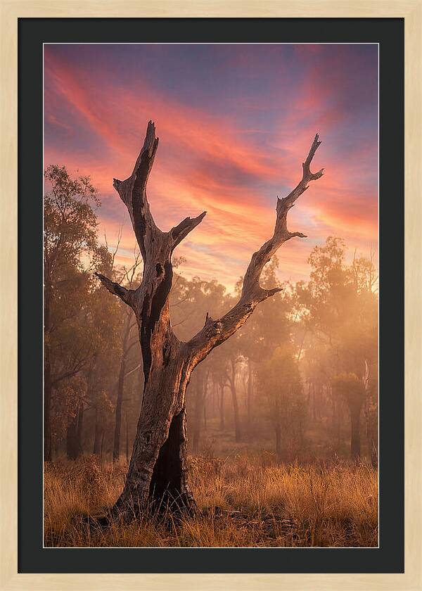 Standing Tall In Twilight