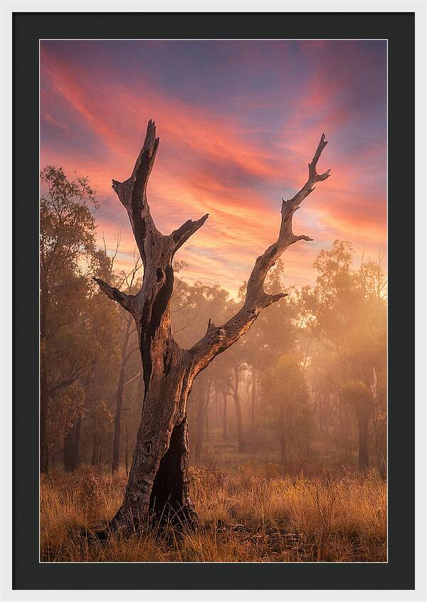 Standing Tall In Twilight