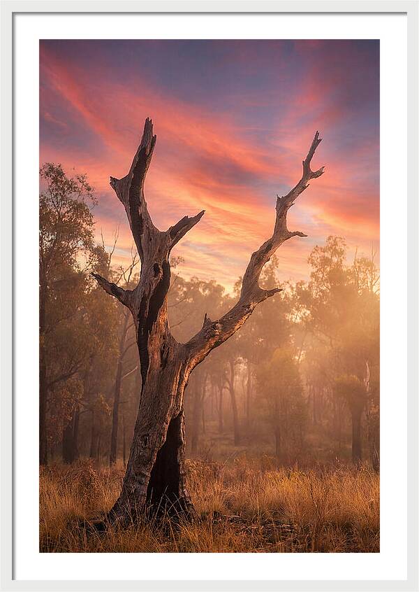 Standing Tall In Twilight