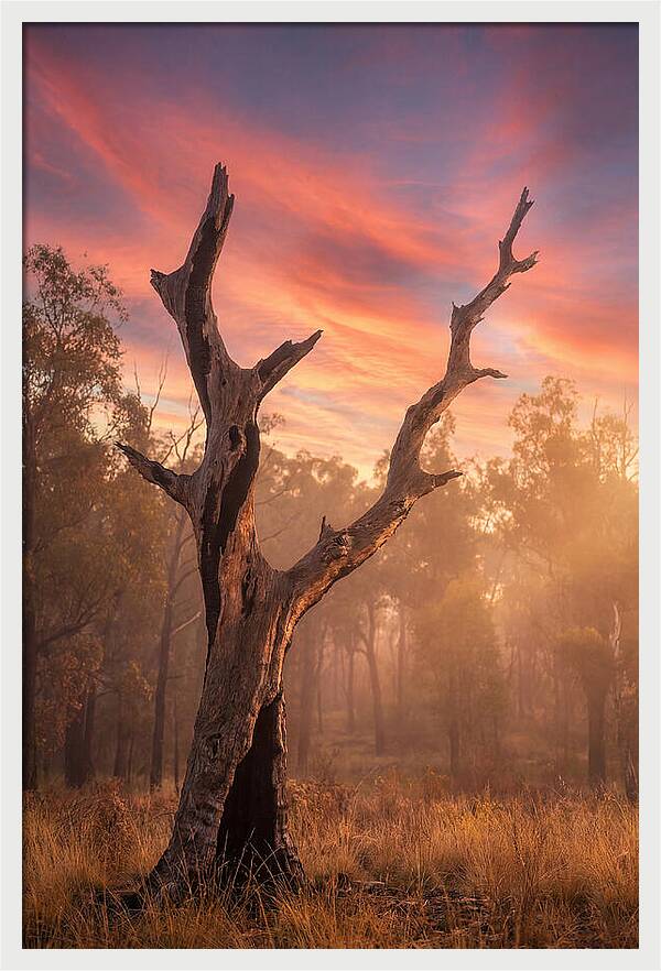 Standing Tall In Twilight