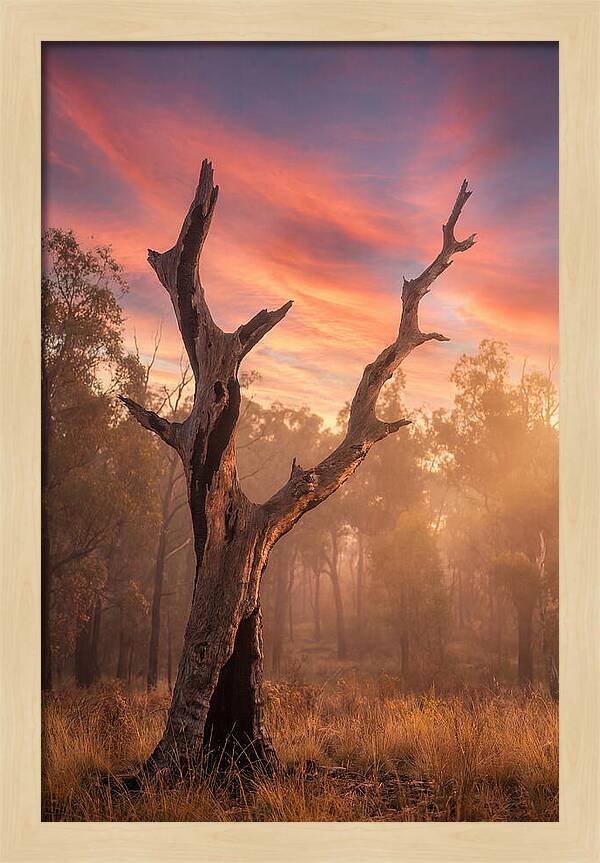 Standing Tall In Twilight