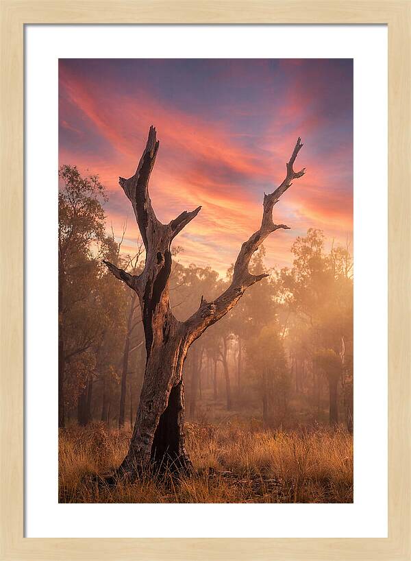 Standing Tall In Twilight