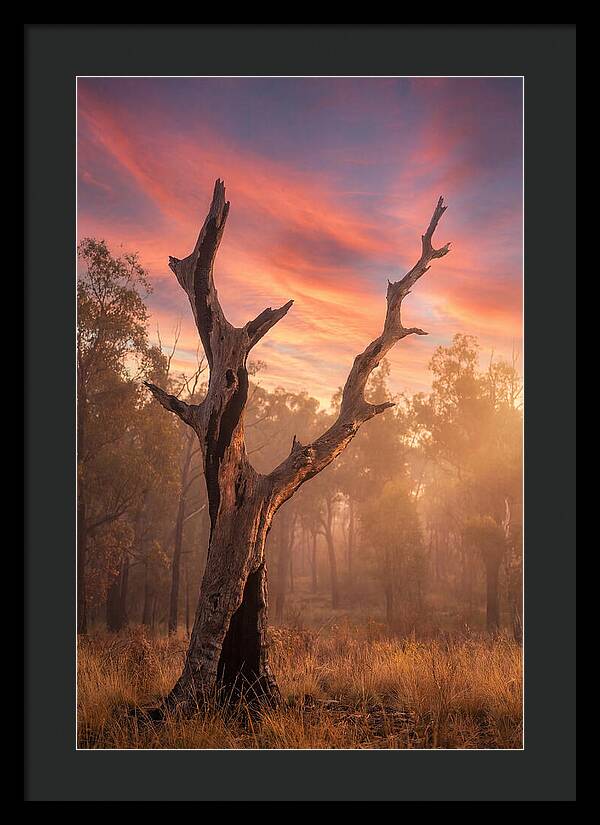 Standing Tall In Twilight