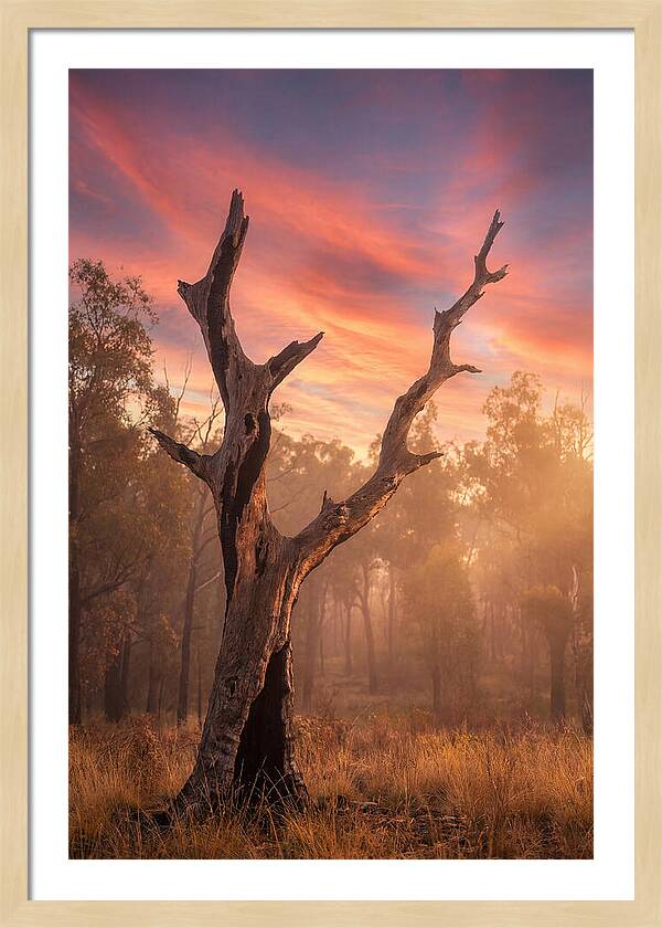 Standing Tall In Twilight