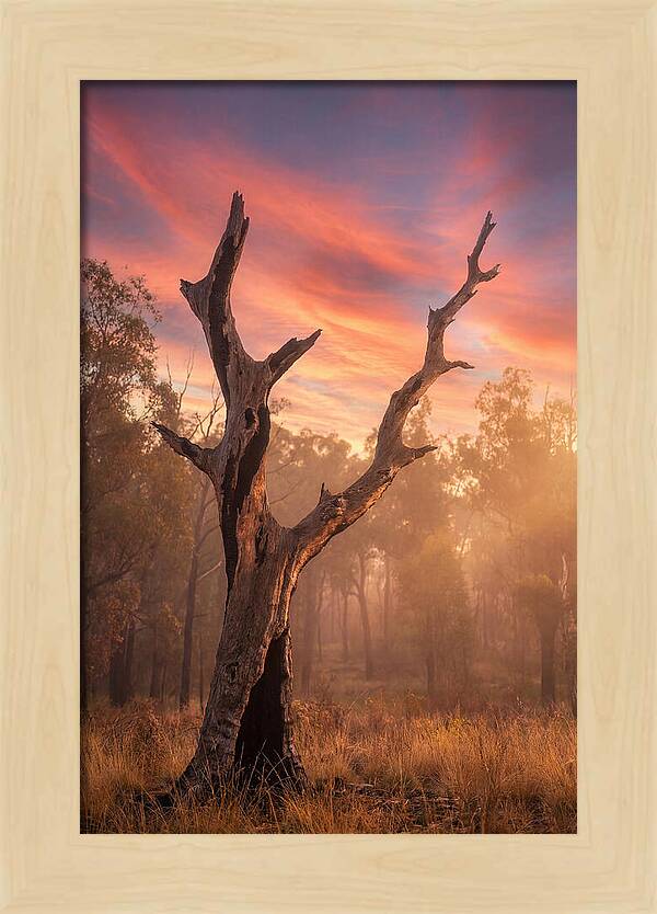 Standing Tall In Twilight