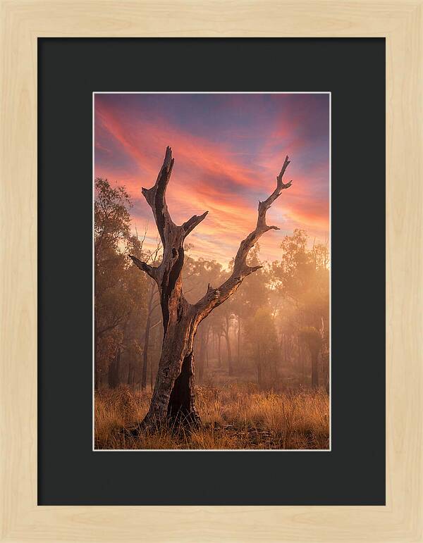 Standing Tall In Twilight