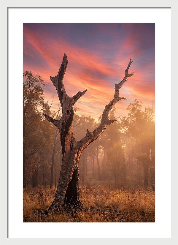 Standing Tall In Twilight