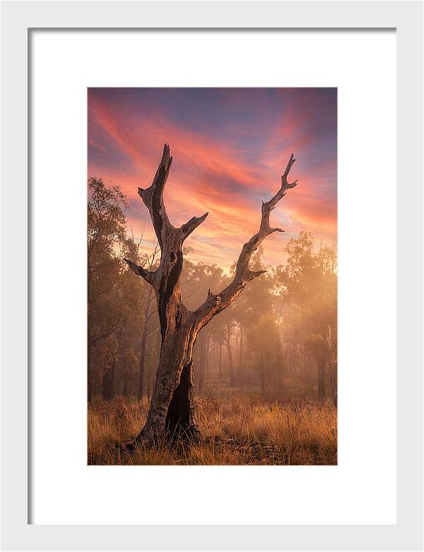 Standing Tall In Twilight